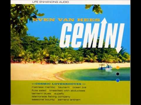 Sven Van Hees — Sven Van Hees - Tsunami Inside My Soul