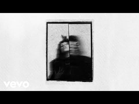 Lady Gaga — Vanish Into You