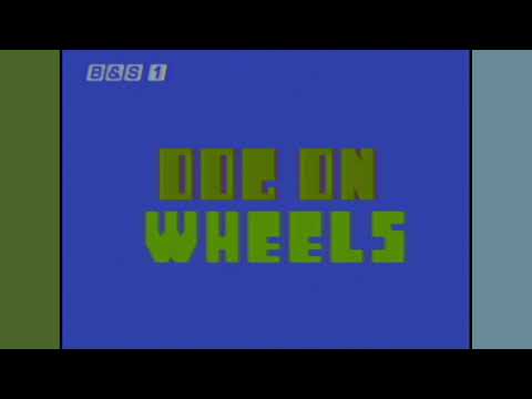 Belle & Sebastian — Belle and Sebastian- "Dog On Wheels (Live)" (Official Music Video)