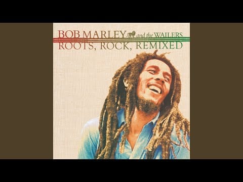 Bob Marley & The Wailers — Lively up Yourself (Bombay Dub Orchestra Remix)