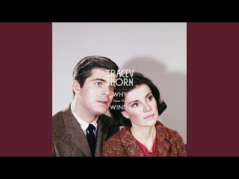 Tracey Thorn — Why Does the Wind? (Michel Cleis Remix)