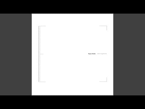 Ryoji Ikeda — Channel X: holy wood