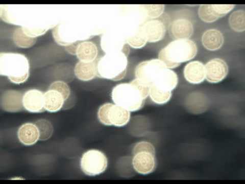 Naoki Zushi — 光の粒