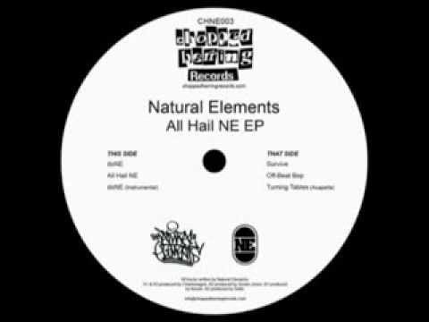 Natural Elements — NATURAL ELEMENTS/ALL HAIL NE EP *LIMITED VINYL* CHOPPED HERRING