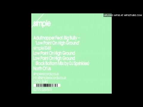DJ Sprinkles — Adultnapper Featuring Big Bully ‎-- Low Point On High Ground