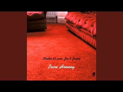 Studio 45 — Pure Hooney (Olav Basoski Remix)