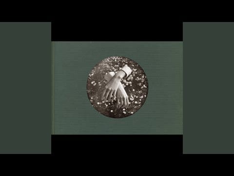 aspidistrafly — Dear Sylvan