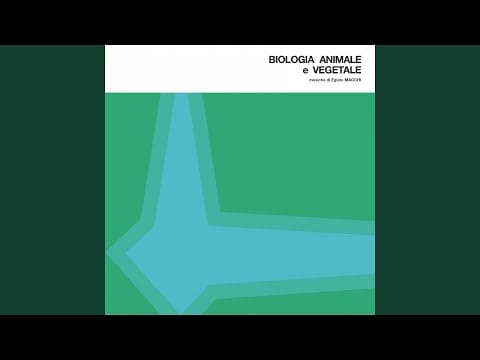 Egisto Macchi — Stadi embrionali