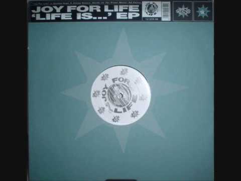 Joy For Life — Joy 4 Life-The Riffmeister