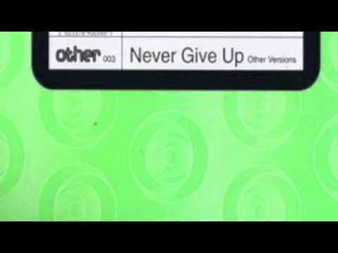 Diane Mathis — Diane Mathis - Never Give Up (Full Vox Version)