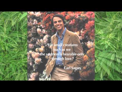 David Peel & The Lower East Side — David Peel- I like Marijuana