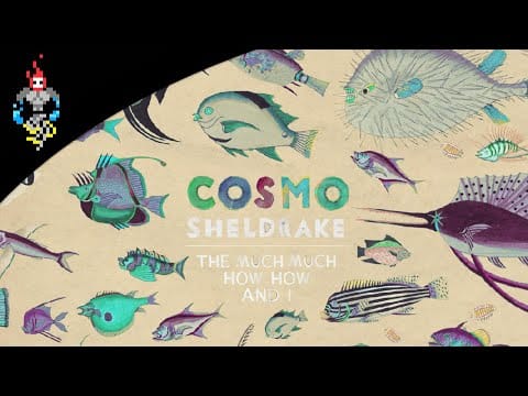 Cosmo Sheldrake — The Much Much and How How Cosmo Sheldrake Captured The Conflict of Nature and Man