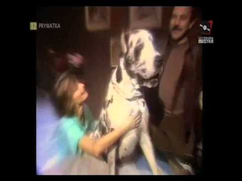 Andrzej Zaucha — ANDRZEJ ZAUCHA - Baw się lalkami (1985)