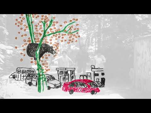 Spirit Fest — Spirit Fest: Bear In Town