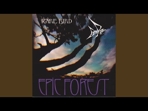 Rare Bird — Epic Forest