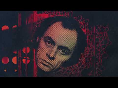 Luke Haines — Luke Haines & Peter Buck - The Pink Floyd Research Group [Lyric Video]