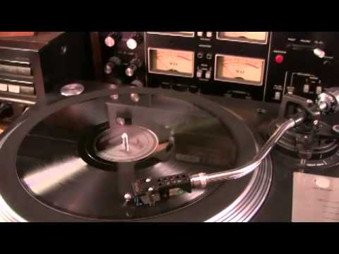 The Honeydreamers — Irish Mambo