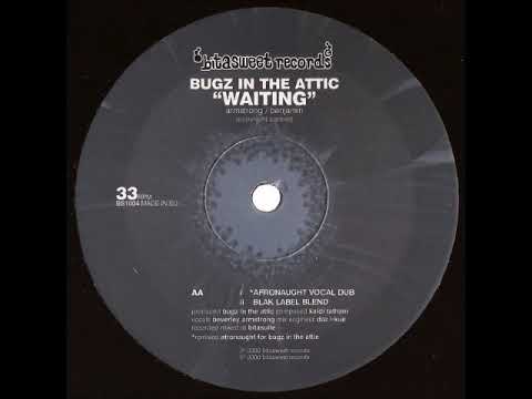 Bugz In The Attic — A FLG Maurepas upload - Bugz In The Attic - Waiting (Afronaught remix) - Broken
