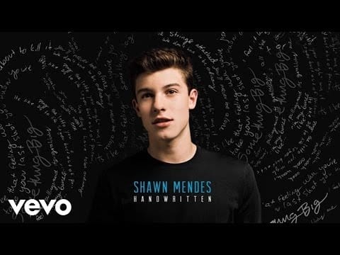 Shawn Mendes — This Is What It Takes
