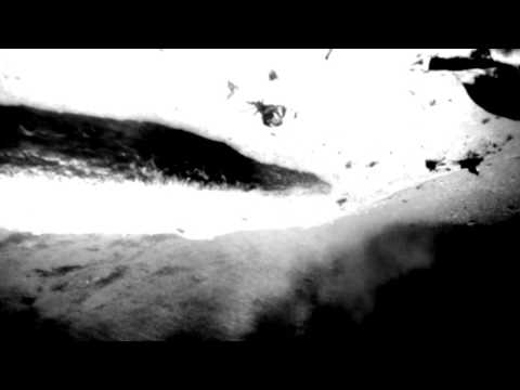 Loess — Loess - Jolie