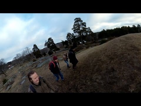 Urtidsdjur — URTIDSDJUR - (Gryningsserenad) Hel igen