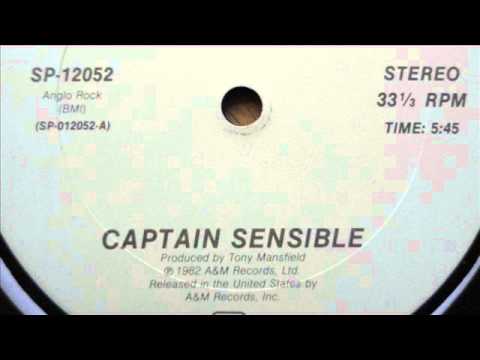 Captain Sensible — captain sensible - wot (12'' version) [with Lyrics]