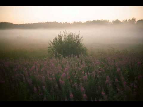 Julia Kent — Julia Kent - Elmas