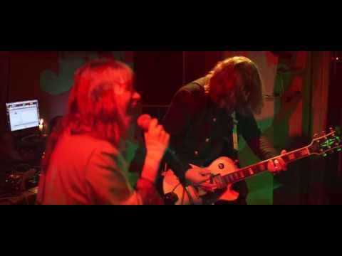 Sex Of Insects — Not This Song Again