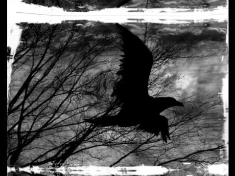 Hanging Garden (3) — Hanging Garden ~The Blackbirds