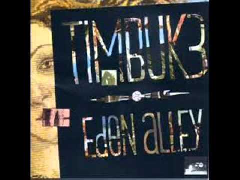 Timbuk 3 — timbuk 3 - tarzan was a bluesman