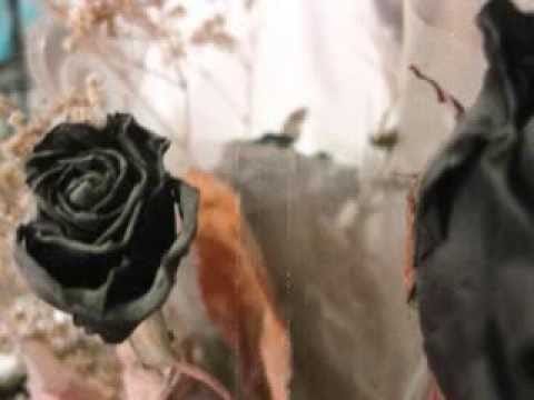 Alexander Veljanov — Alexander Veljanov - Empty Heart