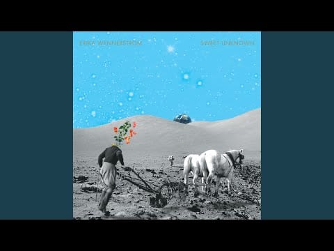 Erika Wennerstrom — Gravity