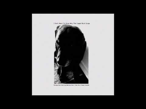 I Don't Want To Know Why The Caged Bird Sings — I Don't Want To Know Why The Caged Bird Sings - Things Are Getting Better But I am Still Dead Inside