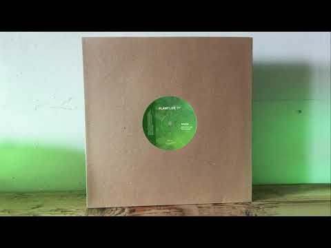 Brad Peterson — Machine Logic - Plantlife EP - Brad P - Inner Shift Music