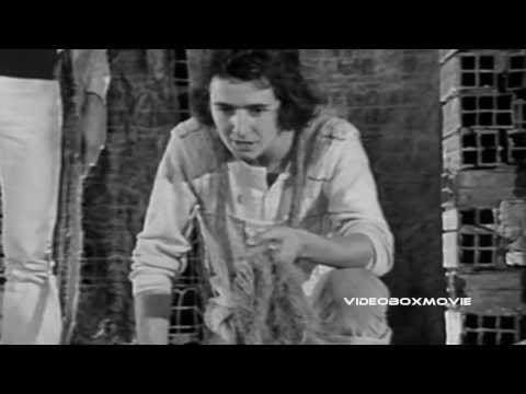 Tito Schipa Jr. — ORFEO 9 (Tito Schipa jr.) - SENTI ORFEO