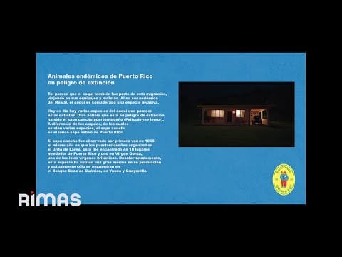 Bad Bunny — BAD BUNNY - LO QUE LE PASÓ A HAWAii (Visualizer) | DeBÍ TiRAR MáS FOToS