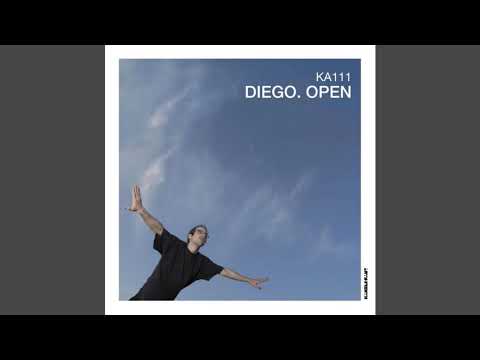 Diego — Diego-Continuum Conversation
