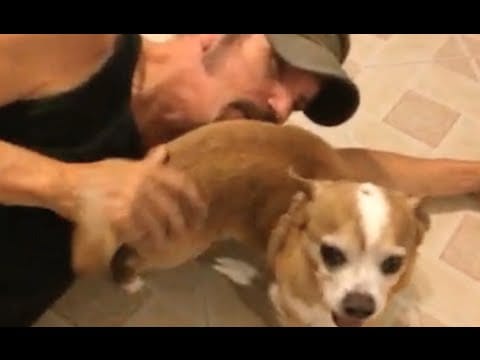 The Bottle Rockets — Bottle Rockets "Dog" (Official Music Video)