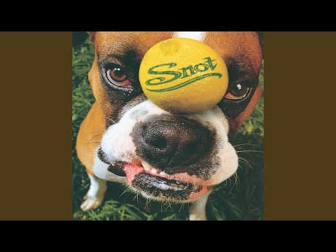Snot — My Balls