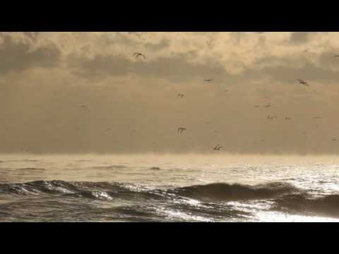 Ian Van Dahl — Ian Van Dahl "To Fall In Love"