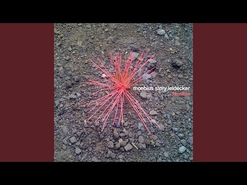 Tim Story — Wrong