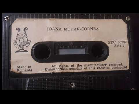Ioana Cornea — Ioana Modan Cornea