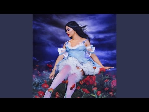 Slayyyter — Troubled Paradise (Le Matos Remix)