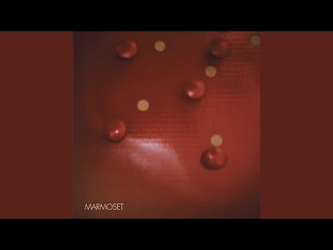 Marmoset — Golden Cloak