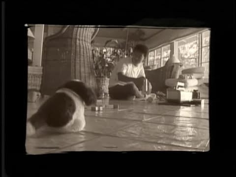 Kiyotaka Sugiyama — Kiyotaka Sugiyama - DOUBLE RAINBOW [OFFICIAL MUSIC VIDEO]