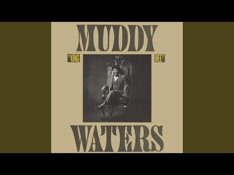 Muddy Waters — I'm a King Bee