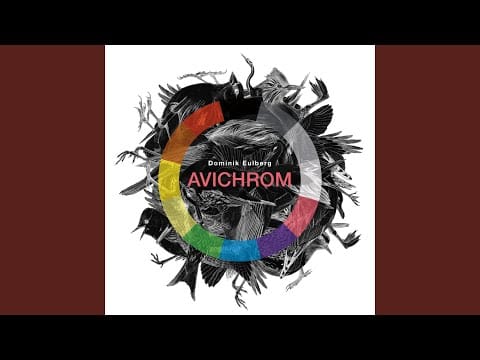 Dominik Eulberg — Schwarzhalstaucher