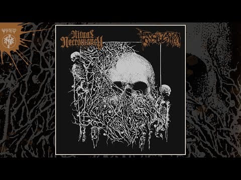Ritual Necromancy — RITUAL NECROMANCY / FOSSILIZATION "Split" (Full Stream)