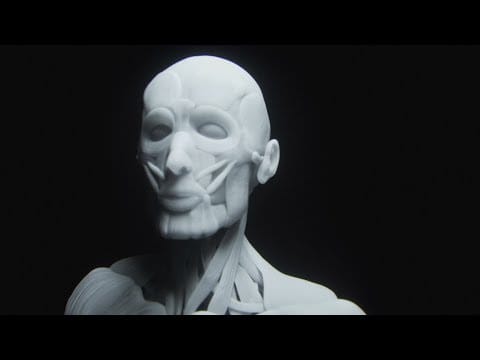 Code Orange — The Mud