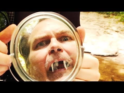 Dance Gavin Dance — Dance Gavin Dance - Blood Wolf (Official Music Video)